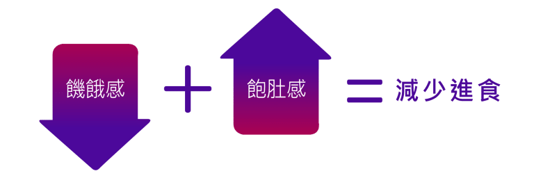 展示減少進食的公式，包含「飽足感」增加與「飢餓感」下降的圖示，強調這兩者對減少食量的重要性。