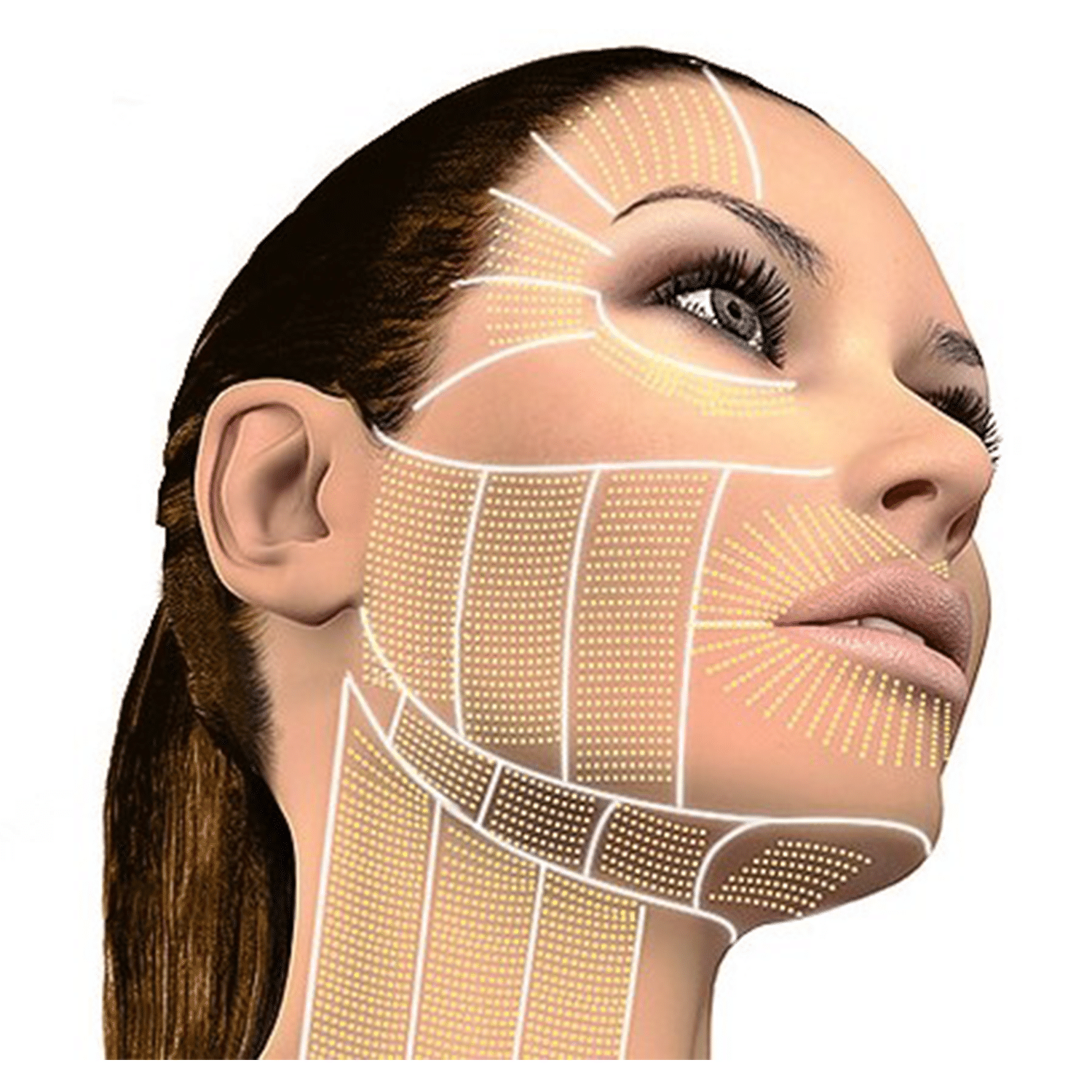 顯示臉部輪廓的示意圖，標示出治療時的針對區域，強調Ultherapy的應用範圍和效果。